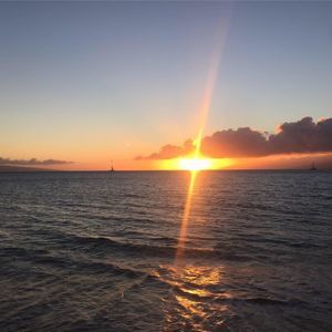 Meet your Posher, Alan